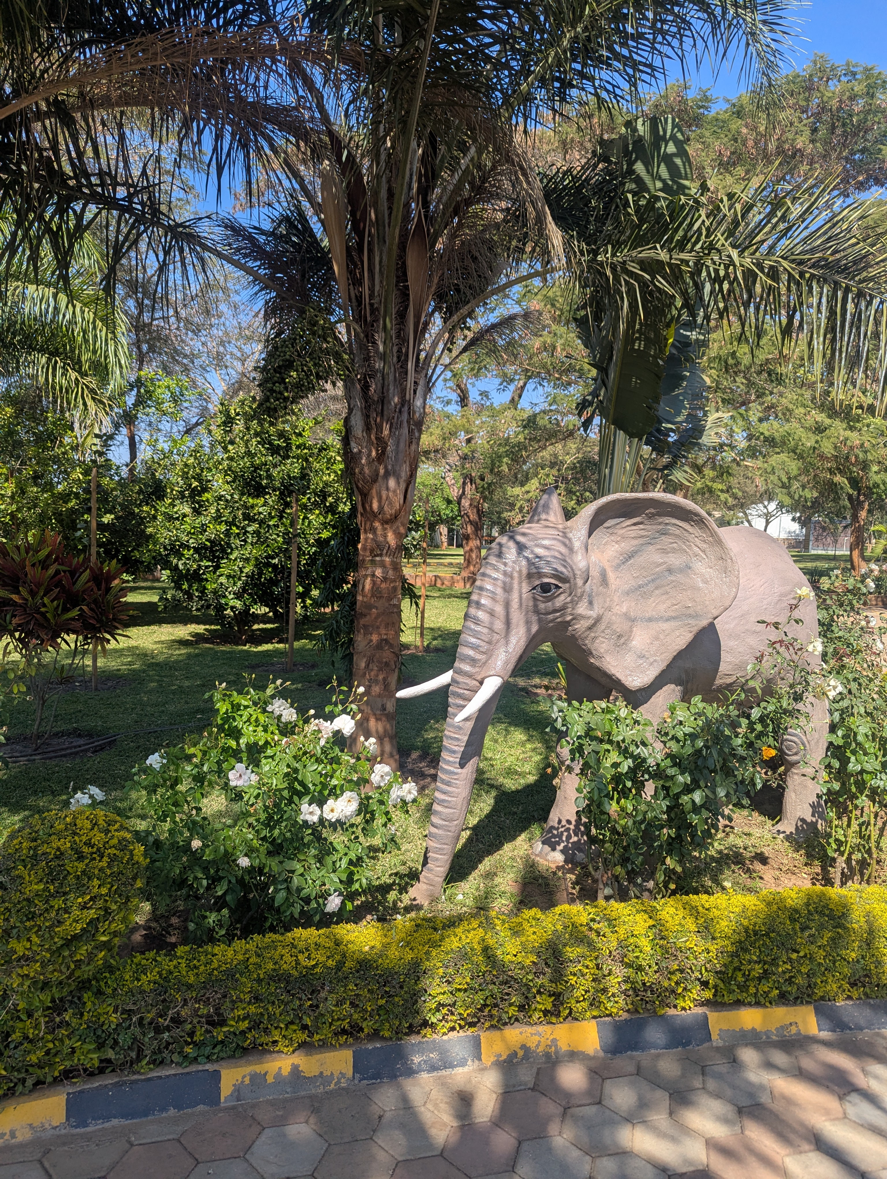 Beautiful greenery surrounding Ellesia Executive Lodge